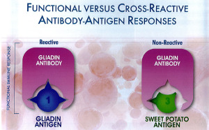 Antibody-Atigen Response
